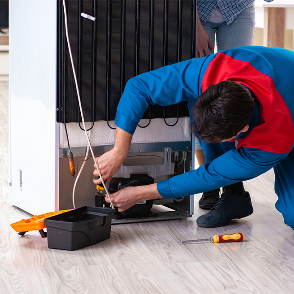 how much do you charge for refrigerator repair services in Cairo